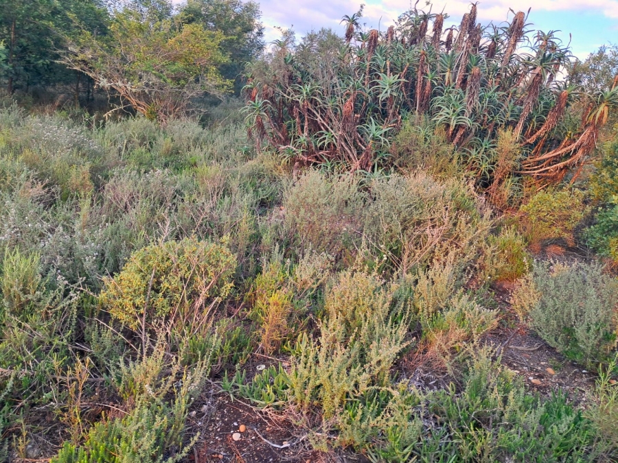  Bedroom Property for Sale in Grootbrakhoogte Western Cape